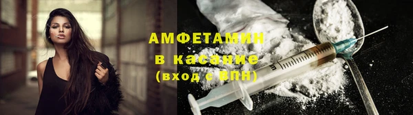 сатива Арсеньев