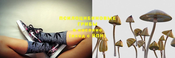 сатива Арсеньев