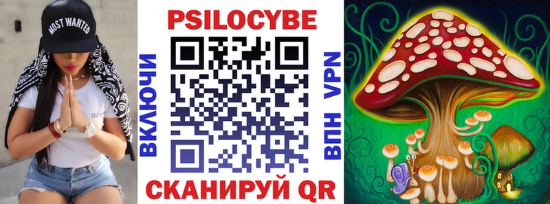 Купить где  Судогда  Галлюциногенные грибы Cubensis 